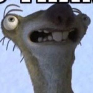 Meet your Posher, Amilia